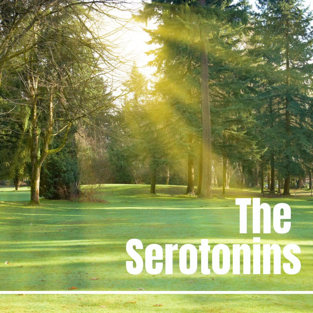 Band Cover Art Showing Landscape and name